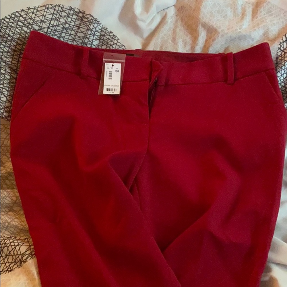 The limited Pants
